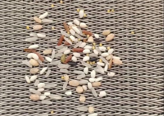304ステンレス鋼のコンベヤーの混合物の釣り合ったベルトを乾燥するナット